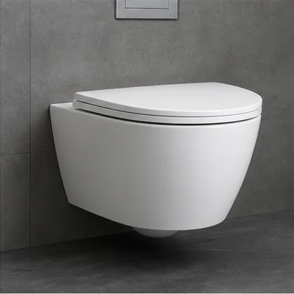 Nova Wall-Hung WC sanitaryware collection