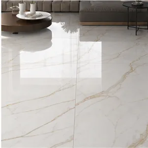 800 x 800 mm tile format