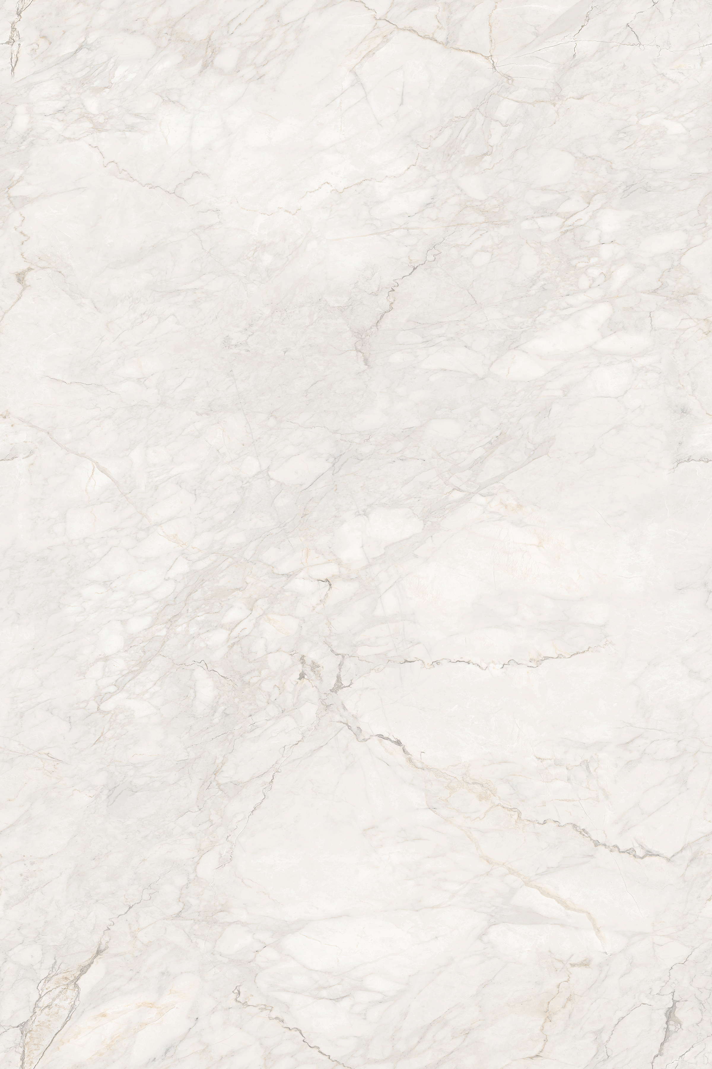 Porcelian Tiles gallery image 1