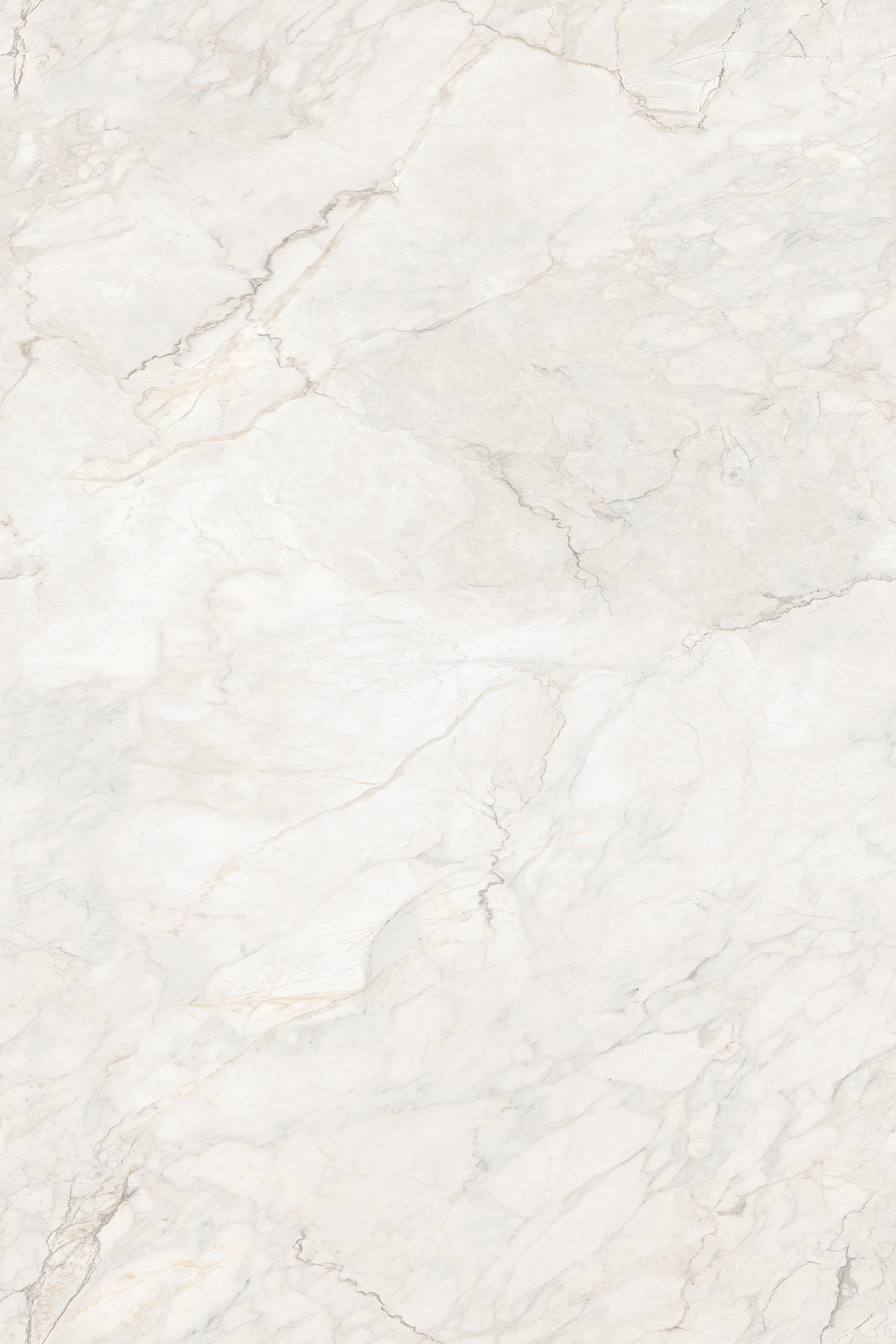 Porcelian Tiles gallery image 3