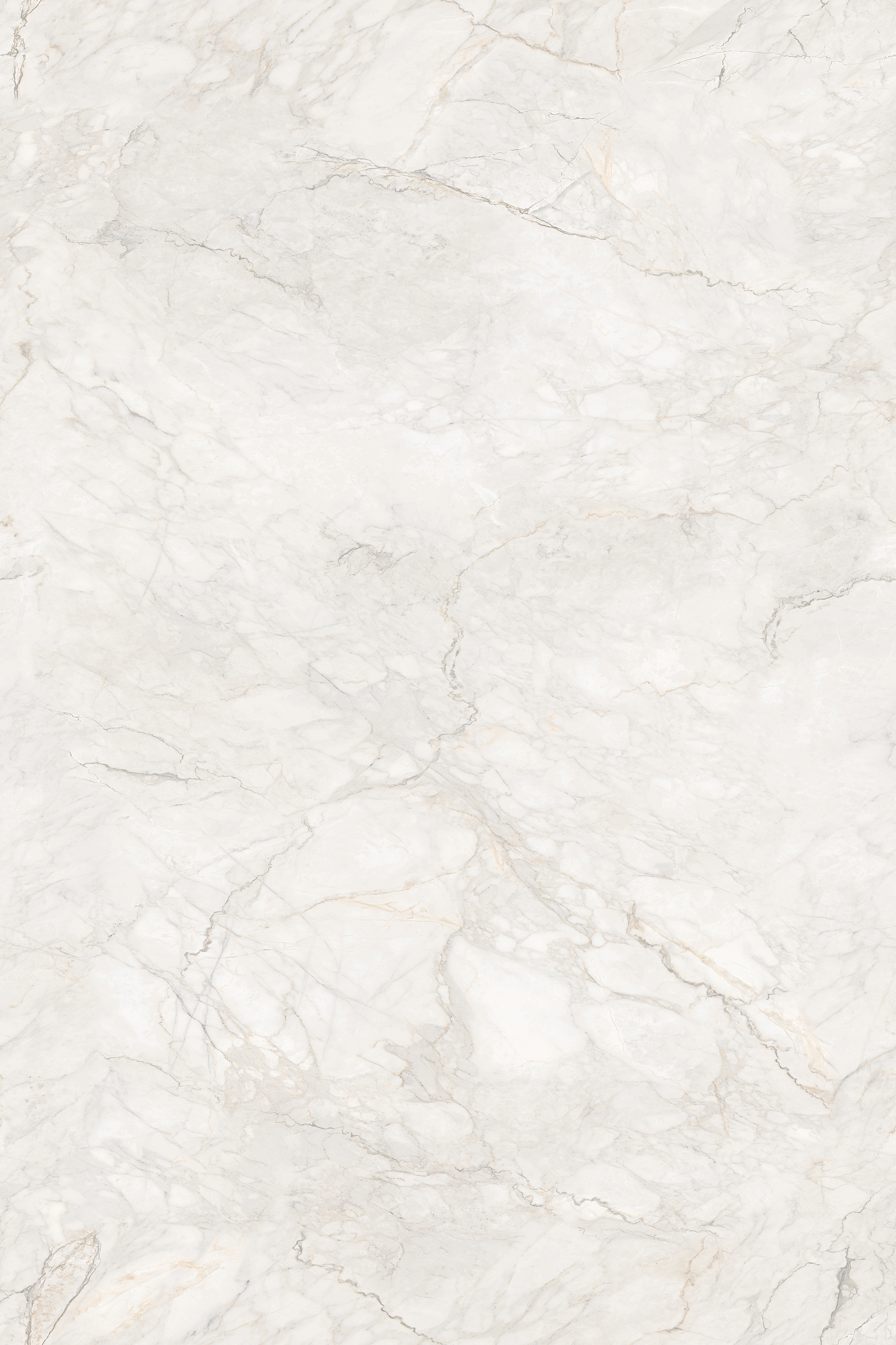Porcelian Tiles gallery image 4