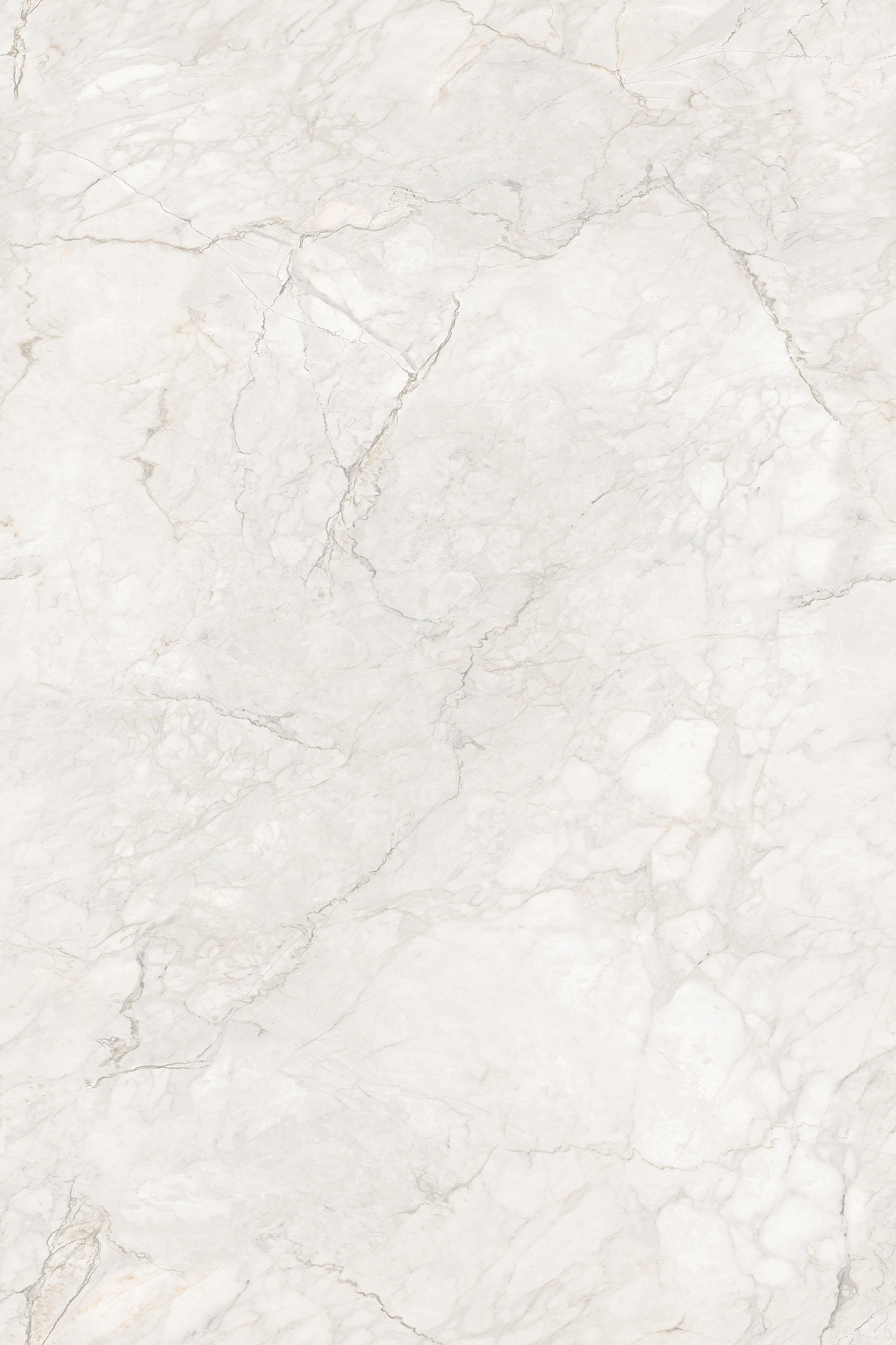Porcelian Tiles gallery image 5
