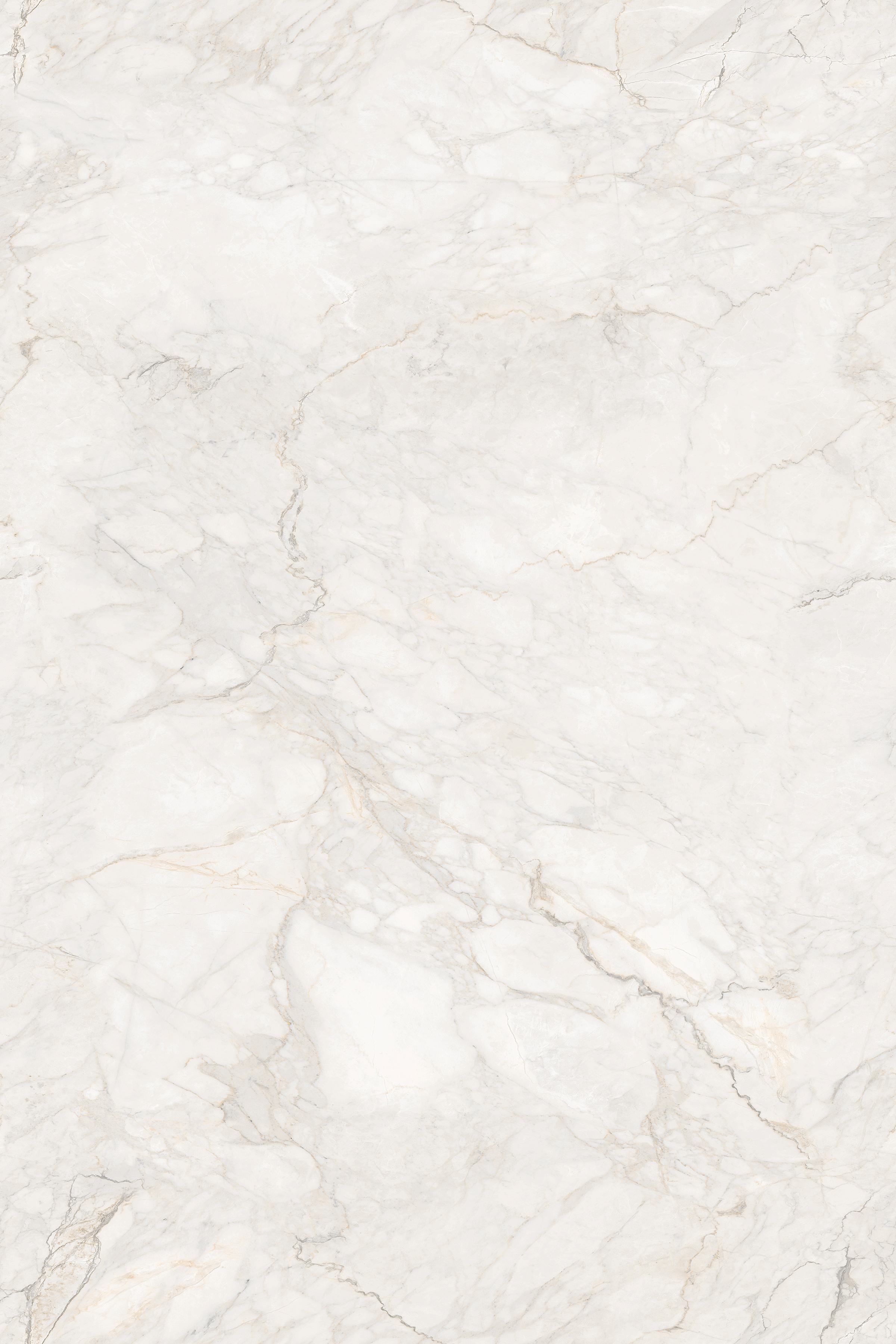 Porcelian Tiles gallery image 7